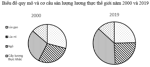 Giải Địa lí 10 Bài 27 (Kết nối tri thức): Thực hành vẽ và nhận xét biểu đồ về sản lượng lương thực của thế giới