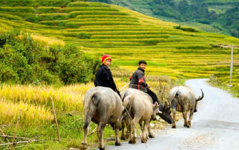 Địa điểm du lịch Sapa 14