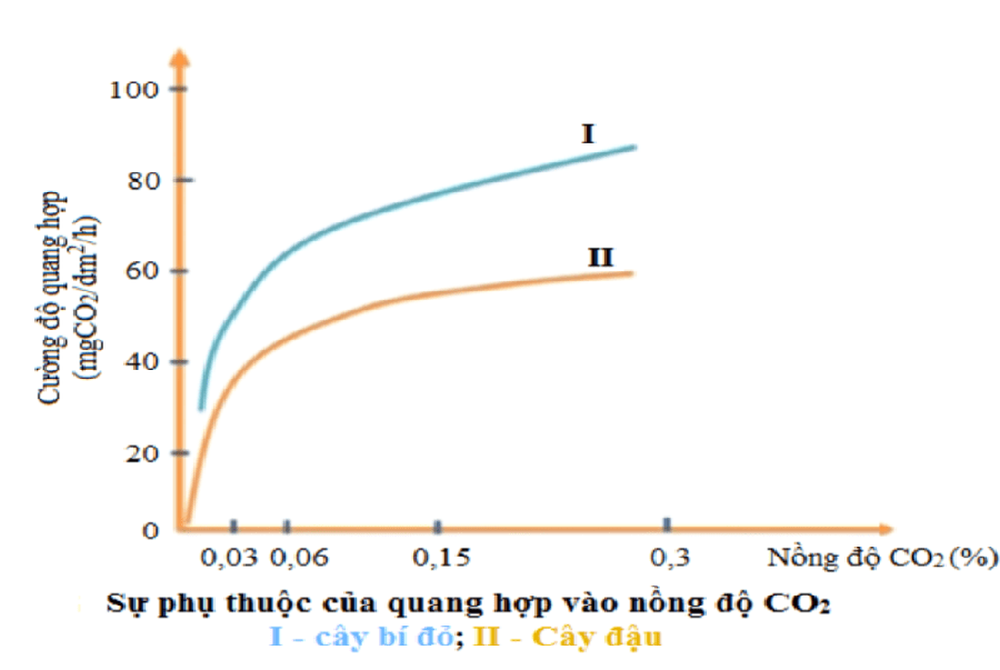 Quan hệ giữa nồng độ CO2 và cường độ quang hợp - ảnh hưởng của các nhân tố ngoại cảnh đến quang hợp