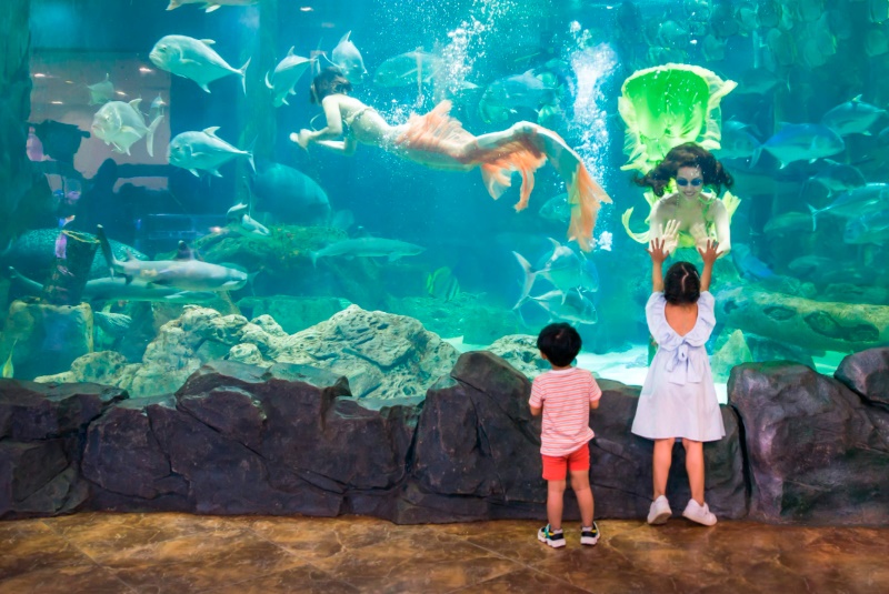 Thủy Cung Vinpearl Aquarium