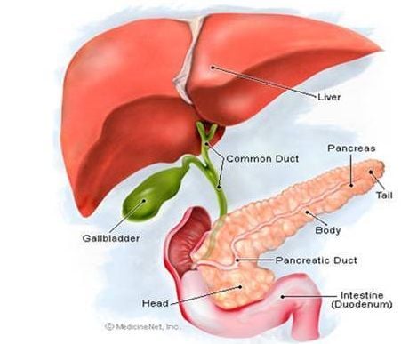 Bệnh gan mật gây nguy hiểm tới sức khỏe con người