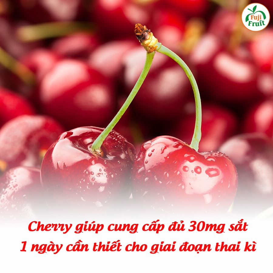 Giá Cherry Mỹ Trên Thị Trường Hiện Nay | Hoa Quả Sạch Fuji | Hệ thống hoa quả sạch nhập khẩu Fuji