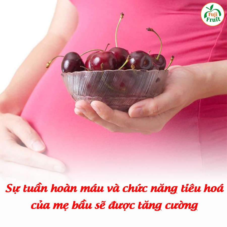 Giá Cherry Mỹ Trên Thị Trường Hiện Nay | Hoa Quả Sạch Fuji | Hệ thống hoa quả sạch nhập khẩu Fuji