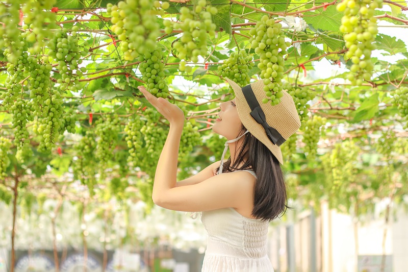 Suối Tiên Farm - giá vé Suối Tiên