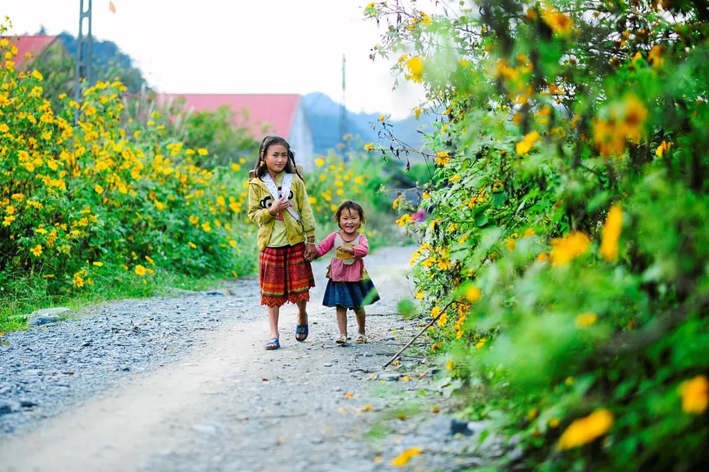 Giữa chốn hoang vu, dù không được chăm sóc, hoa dã quỳ Mộc Châu - Sơn La vẫn tỏa sắc rực rỡ. Những bông hoa mạnh mẽ, sáng bừng dưới ánh nắng, vừa giống như những đóa hướng dương vừa như cúc đại đóa, mang vẻ đẹp hoang sơ và kiêu hãnh