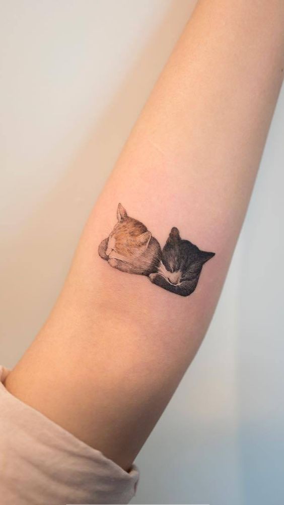 tattoo trên tay nữ cặp cat mini cực đáng yêu