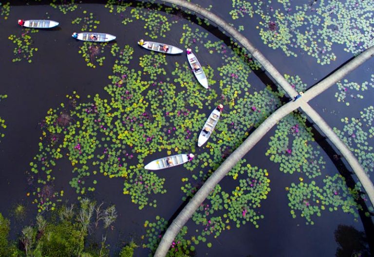 Đồng Tháp Mười - Long An