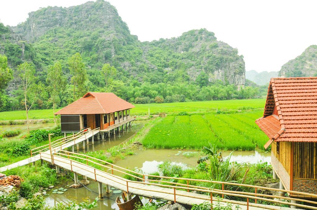 Lotus field homestay Ninh Binh