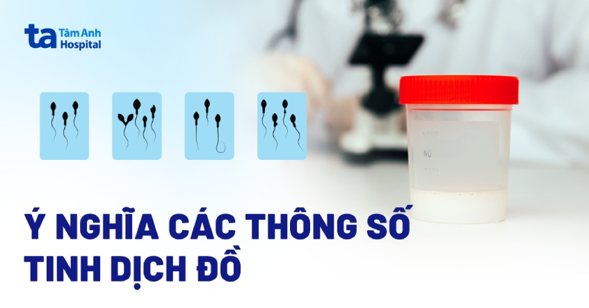 cách đọc kết quả tinh dịch đồ