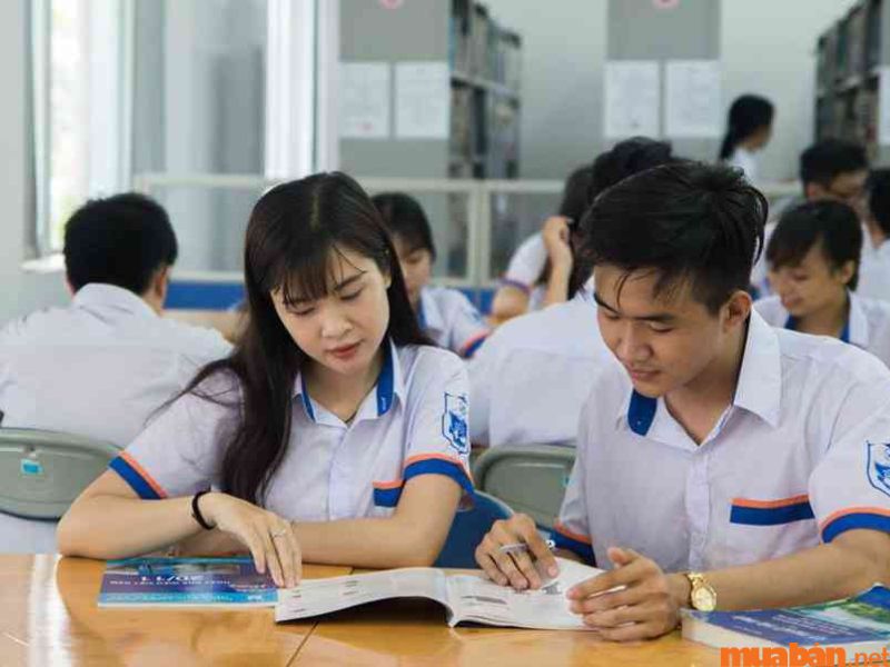 Tố chất học ngành kinh tế vận tải biển