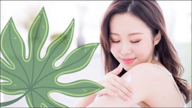 Hàm lượng vitamin C trong lá đu đủ giúp giảm các vết thâm trên da và lám sáng da