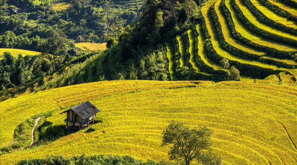 leo núi fansipan sapa