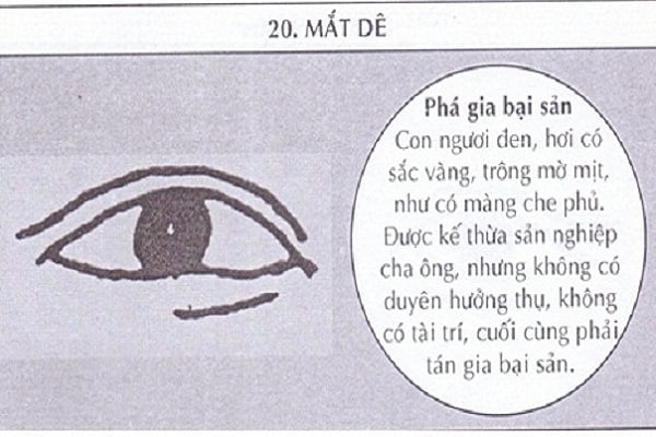 tuong-mat-de