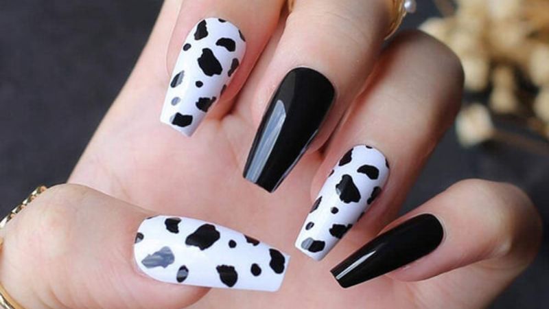 Mẫu nail đen trắng bò sữa 1 (Ảnh: sưu tầm)