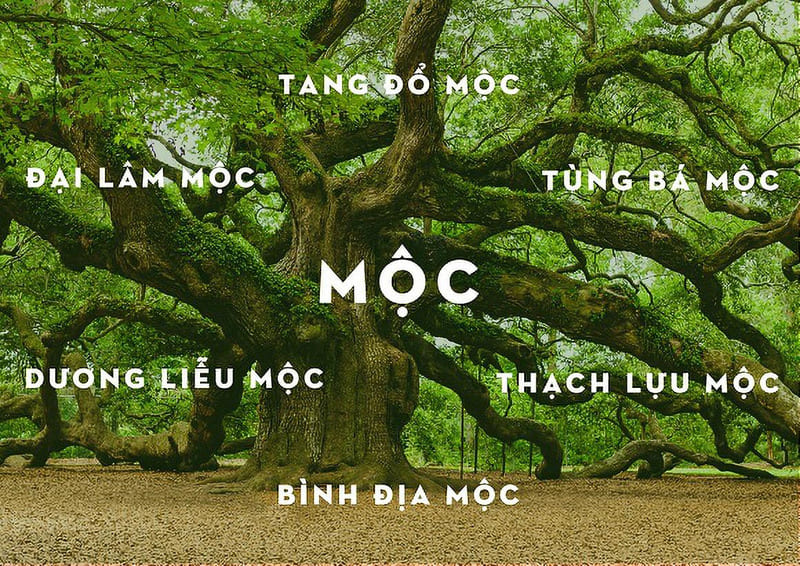 màu sắc theo phong thủy