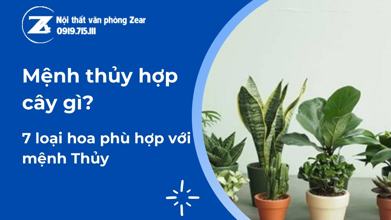 mệnh thủy hợp cây gì