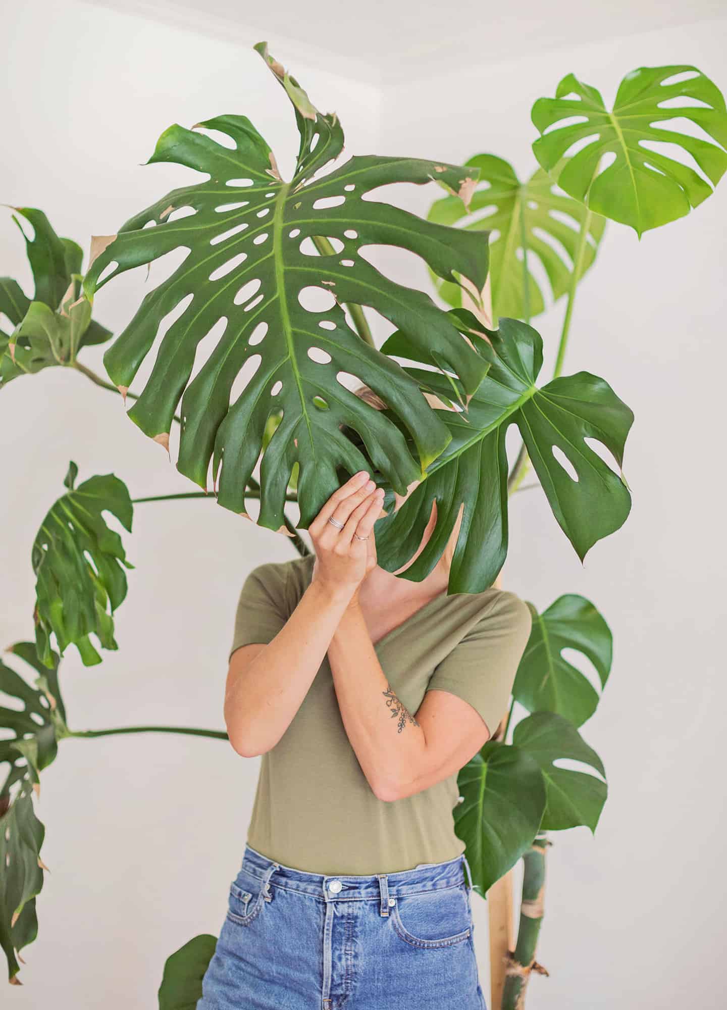 Monstera plant with a woman hiding behind it