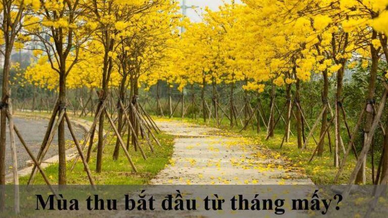 Mùa thu bắt đầu từ tháng mấy ở Việt Nam?