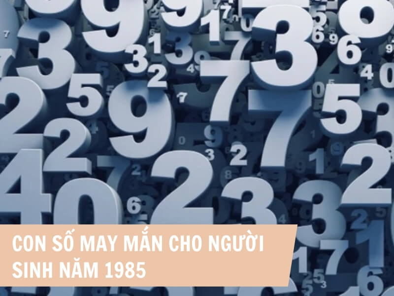 Con số phù hợp với người sinh năm 1985