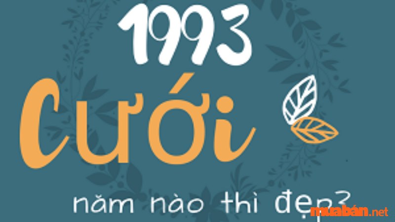 Nam 1993 lấy vợ tuổi nào hợp 