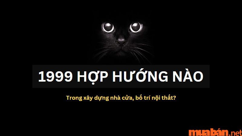 Trong xây dựng nhà cửa, bố trí nội thất 1999 hợp hướng nào?