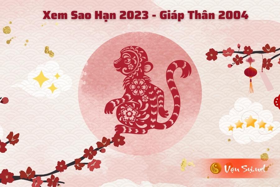 Hạn tuổi năm Quý Mão của nam tuổi Thân 2004