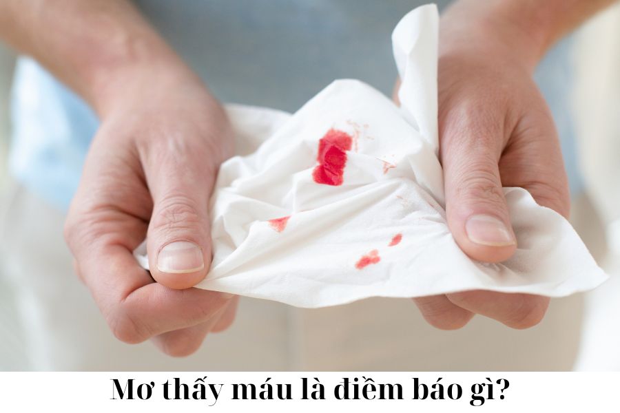 1. Mơ thấy máu là điềm gì?