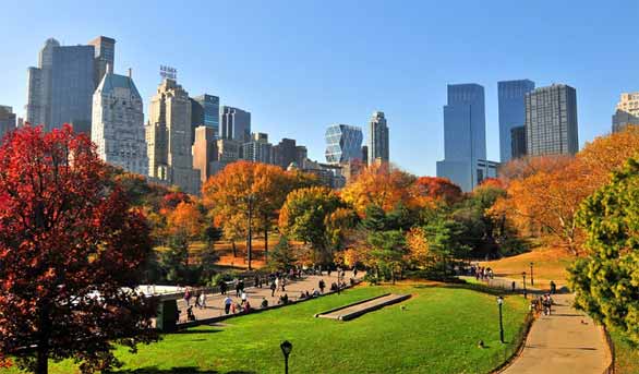 giới thiệu về new york có gì đặc biệt - xin visa mỹ