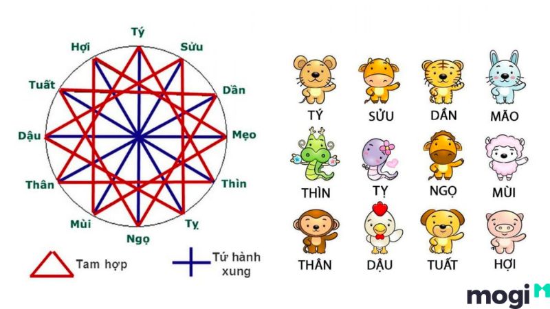 Ngọ là con gì?