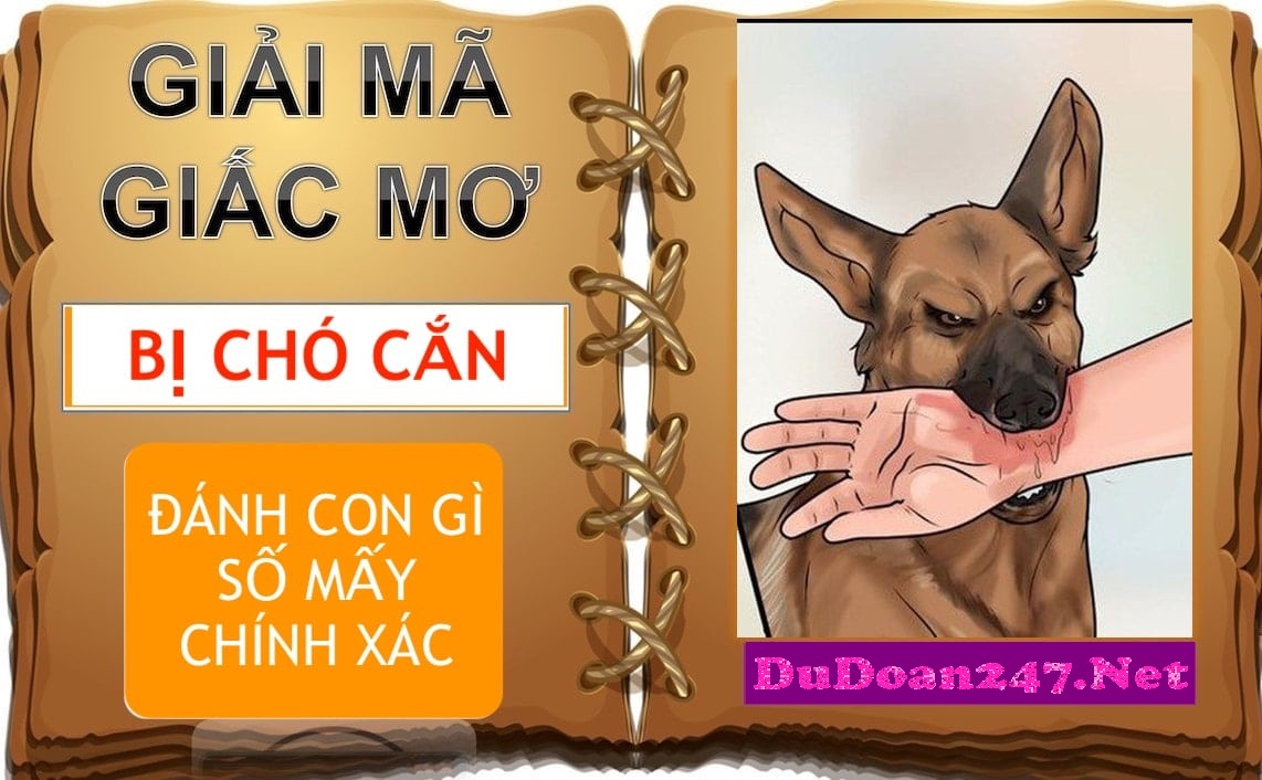 Nằm mơ thấy chó cắn đánh con gì