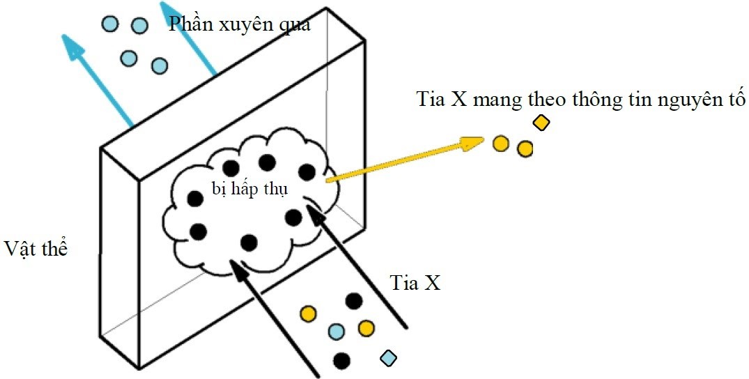 Hoạt động của máy quang phổ huỳnh quang tia X