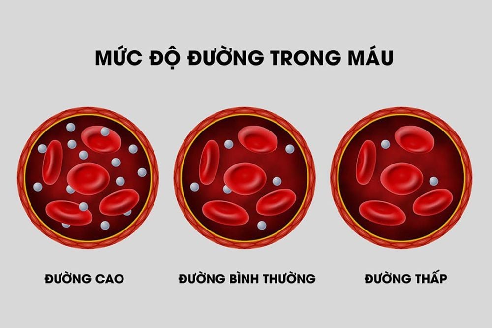 Bỏng ngô có hàm lượng chất xơ cao có thể ổn định lượng đường trong máu giúp ngăn chặn cơn đói và cảm giác thèm ăn