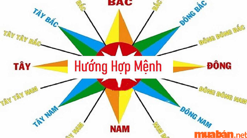 Muốn biết được hướng tốt phù hợp với tuổi Mậu Tý cần xác định đúng người sinh năm 2008 mệnh gì