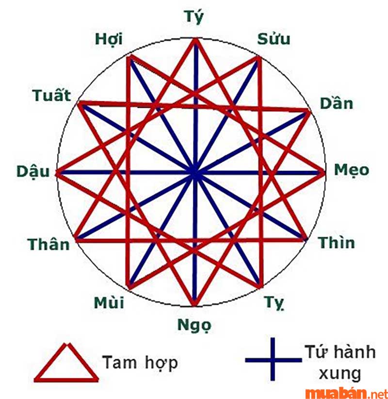 Biết được Mậu Tý 2008 mệnh gì, xét theo tam hợp có thể tìm được tuổi tương hợp với Mậu Tý 2008