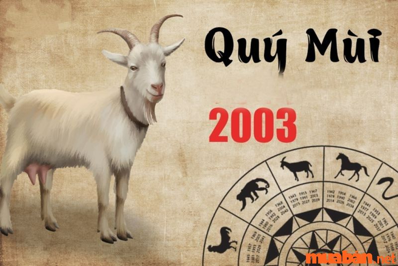 Nữ sinh năm 2003 thuộc mệnh Mộc và có tử vi khá tốt