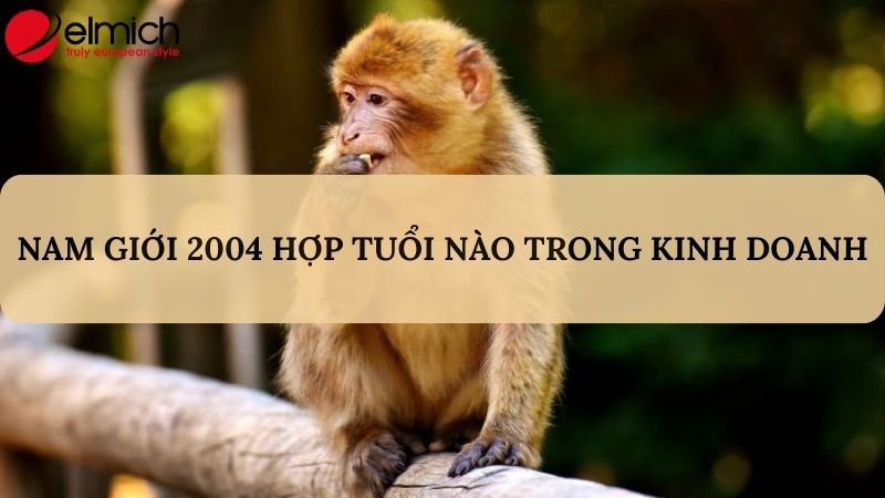 Hình 2: Giải mã nam giới sinh năm 2004 hợp tuổi gì trong kinh doanh