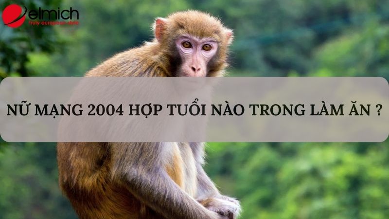 Hình 3: Nữ mạng 2004 nên chọn Đinh Sửu và Bính Tuất để làm ăn chung