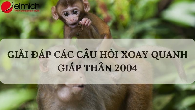 Hình 7: Một số vấn đề xoay tuổi Giáp Thân 2004