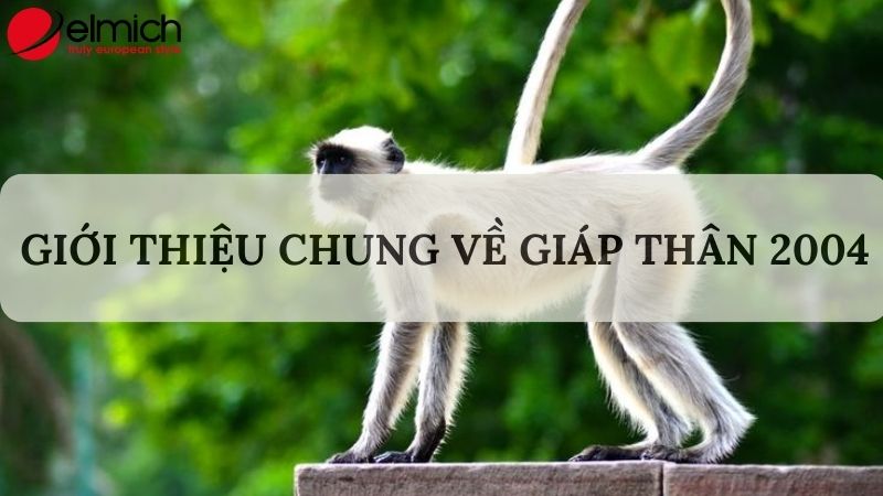 Hình 1: Giới thiệu chung về người tuổi Giáp Thân 2004