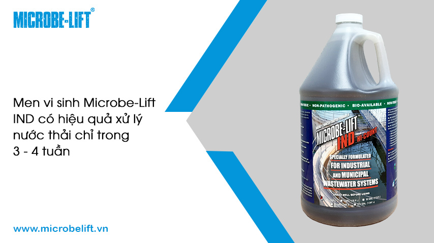 Vì sao nước thải công nghiệp thường chứa các ion kim loại nặng?