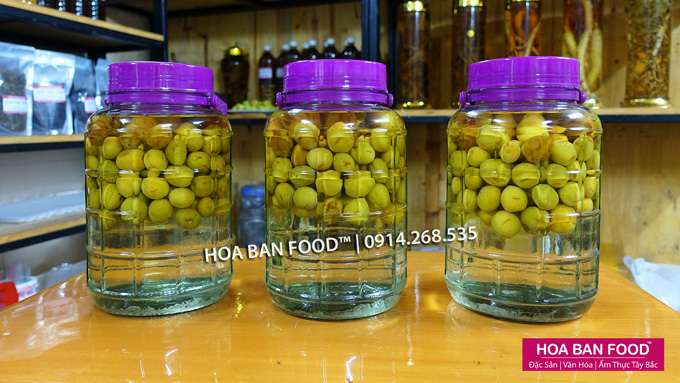 Rượu Mơ Umeshu Nhật Bản, Bình 5L | HOA BAN FOOD™