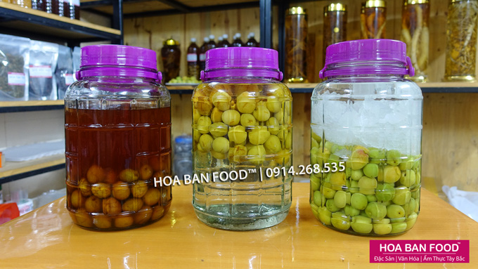 Rượu Mơ Umeshu Nhật Bản, Bình 5L | HOA BAN FOOD™