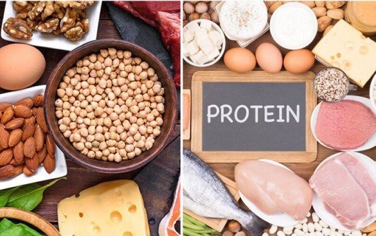 Thực phẩm giàu protein là câu trả lời cho thắc mắc sau mổ nên ăn gì