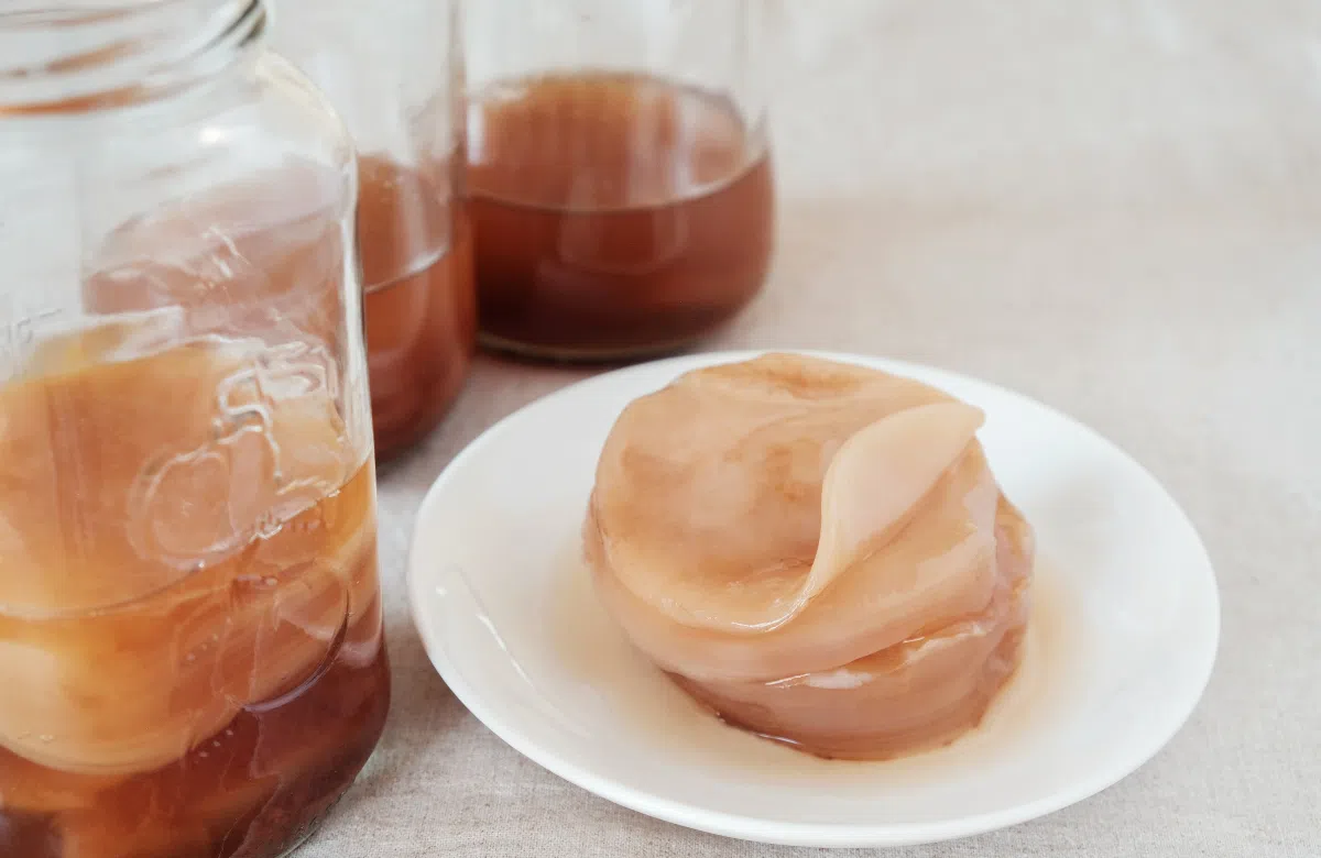 Scoby chứa nhiều chất chống oxy hóa