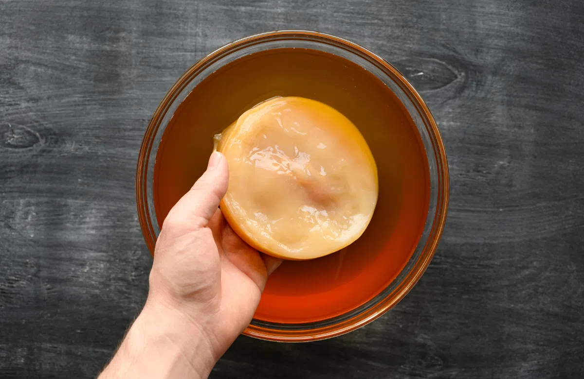 Đối với Scoby tốt thường sẽ có cấu trúc dai giống thạch dừa, màu trắng ngà