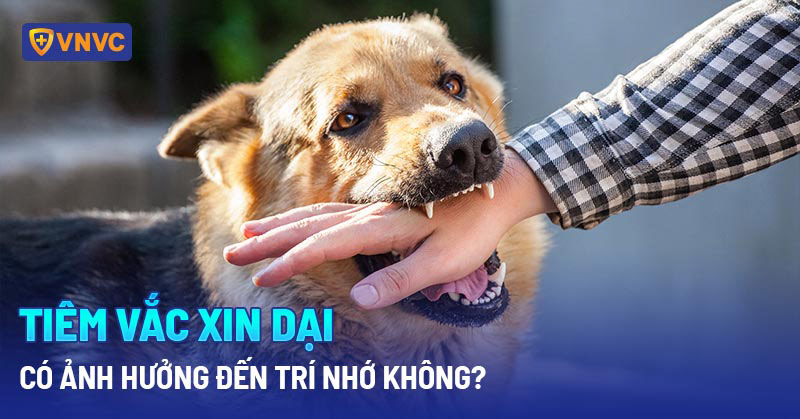 tiêm vắc xin dại có ảnh hưởng đến trí nhớ không