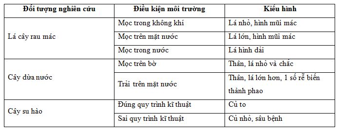 Sinh 9 bài 25: Thường biến