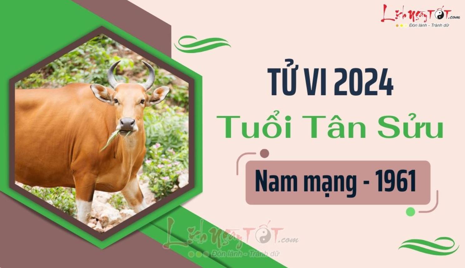 Vận mệnh Tân Sửu 1961