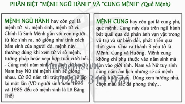 Mệnh cung của Nam và Nữ sinh năm 2010 là gì?