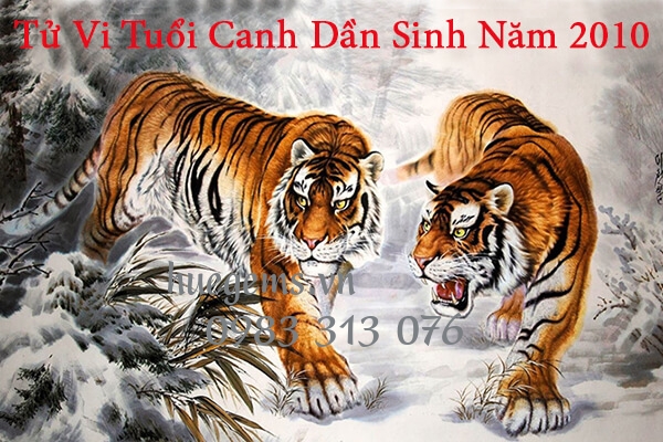 Tử vi tuổi Canh Dần 2010